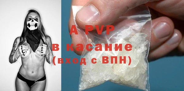 стаф Алзамай
