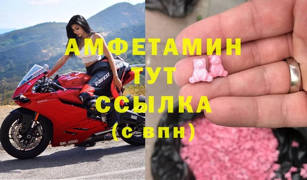 стаф Алзамай