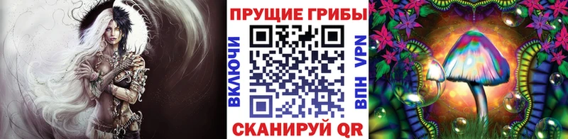 Галлюциногенные грибы ЛСД купить закладку Аткарск